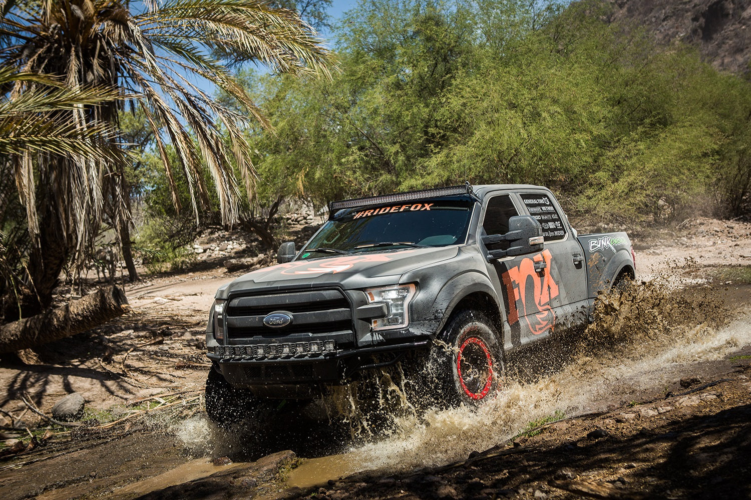 fox-stock-photo-f150-ls-d.jpg