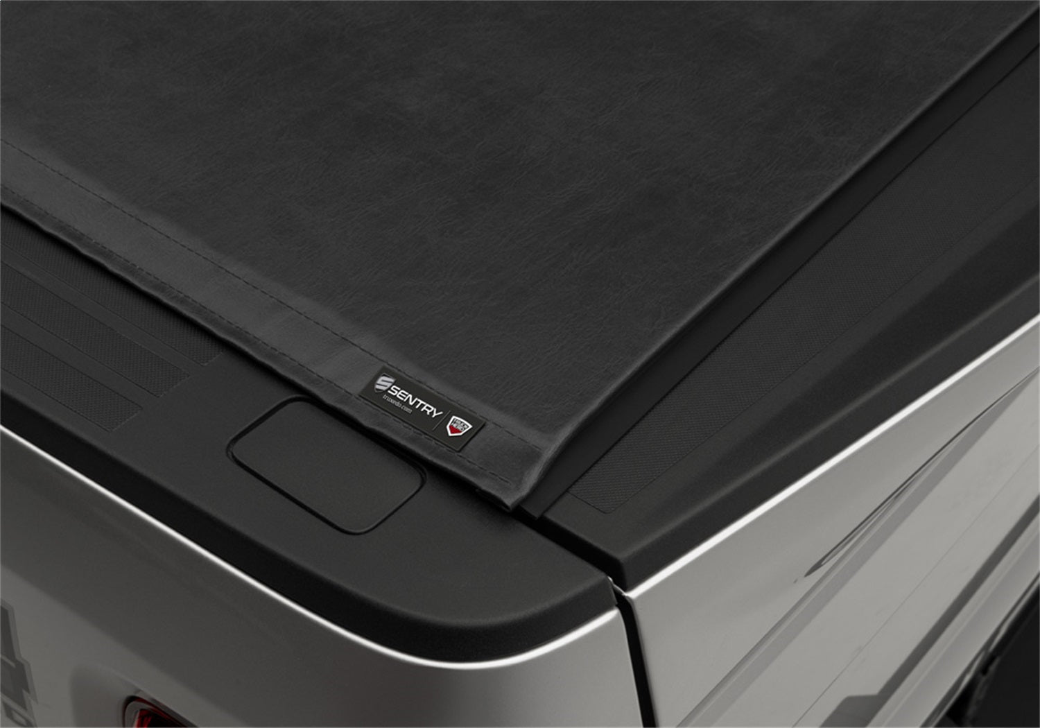 TX_Sentry_Ford_F250_Silver_Details-06Badge.jpg